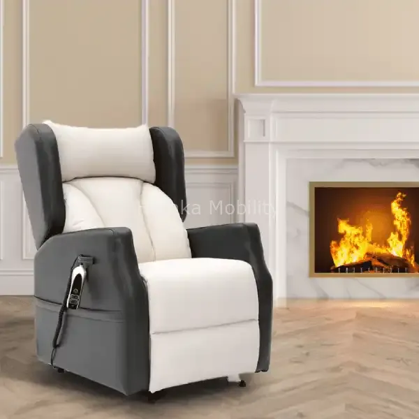 icon essence riser recliner chair